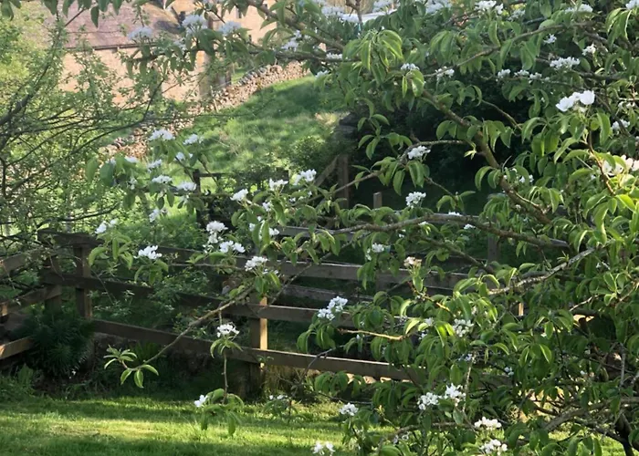 Coverdale Holiday home Leyburn