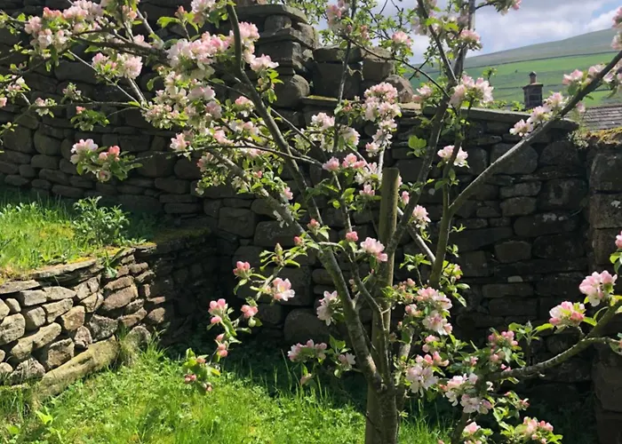 Holiday home Coverdale